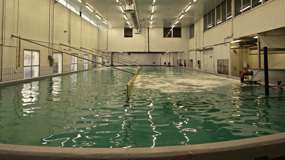 Räkproduktion med säker duk från Protan