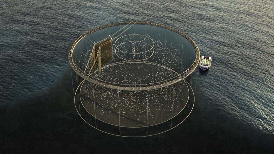 Tekniska tekstilier för marin- och fisketillämpningar